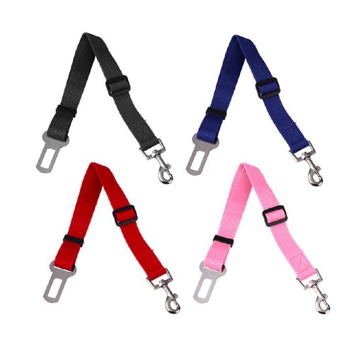 Accesoires pour animaux de compagnie - 5