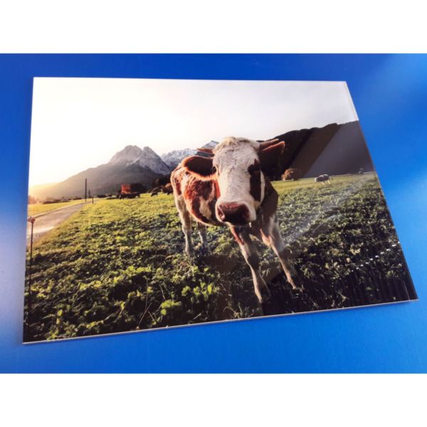 Imprint on plexiglas 300 x 400 mm