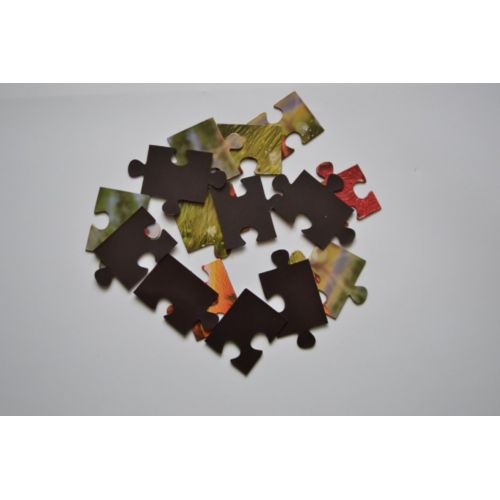 Cadres photo et puzzles magnétiques - 2